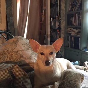 Meet your Posher, Barbara